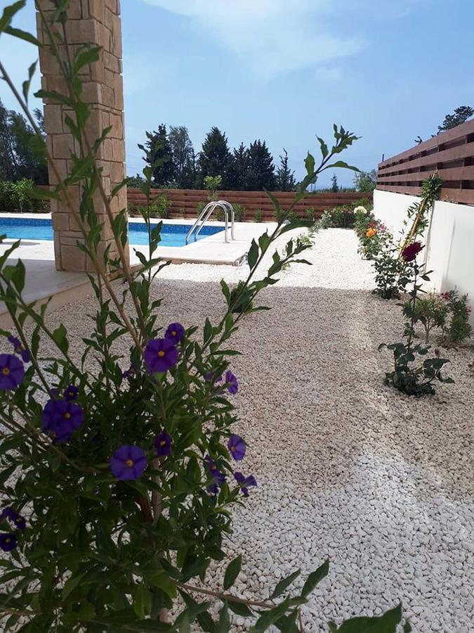 Paphos Olivia Villa 63 מראה חיצוני תמונה